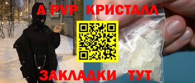прущие грибы Тула