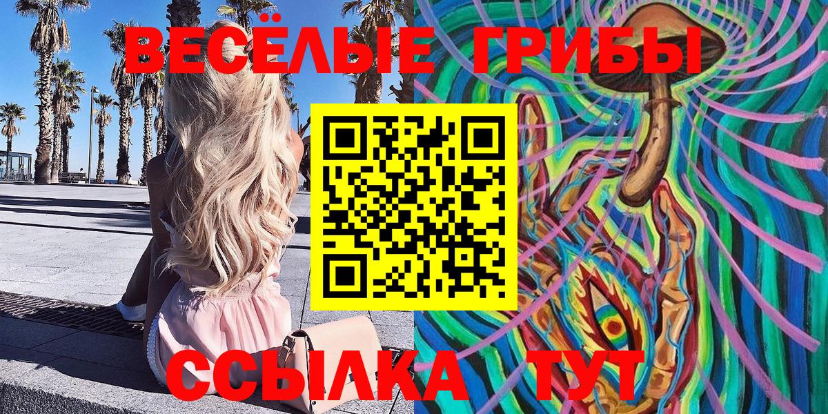 Новокубанск  Псилоцибиновые грибы Psilocybe  Псилоцибиновые грибы мухоморы  Вход с VPN 